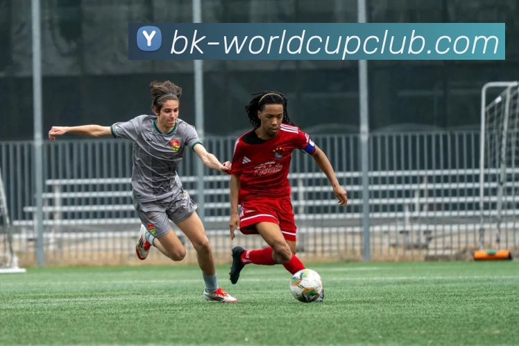 世俱杯线上平台平台生态图